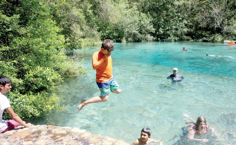 Dariel Garcia leaps into water at Ichetucknee Springs State Park several years ago. A bill passed by the Florida House of Representatives on Friday would eliminate local Tourist Development Councils and allow tourism tax funding to be used for any public purpose. (FILE)