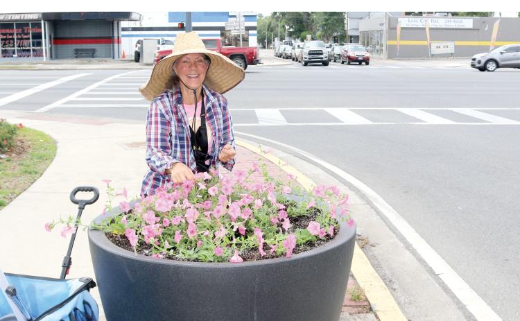 Sonya Rossin, of the Lake City Garden Club, works on replanting and watering Bubble Gum Petunias in the planter near the intersection of Marion Avenue and Duval Street on Tuesday afternoon. Several members of the Lake City Garden worked on the plants as part of the group’s beautification project. (TONY BRITT/Lake City Reporter)