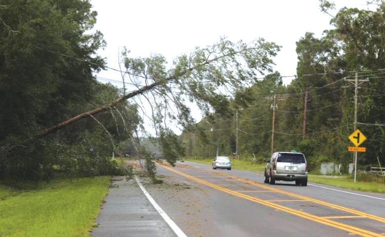 A tree leans over State Road 47 near SW Walter Ave. after Hurricane Helene passed through Columbia County in September. (FILE)