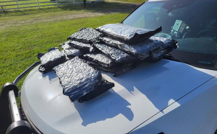 More than 45 pounds of marijuana was found in vaccuum-packed containers in a vehicle along U.S. Highway 441 on Friday morning. (COURTESY COLUMBIA COUNTY SHERIFF’S OFFICE)