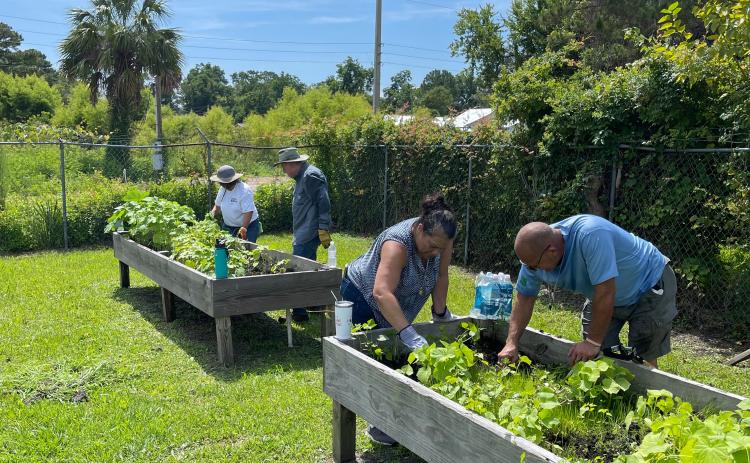 Volunteers from United Way Suwannee Valley helped revitalize a community garden at NorthStar Family Resource Center for a Day of Action service. (COURTESY UNITED WAY SUWANNEE VALLEY)