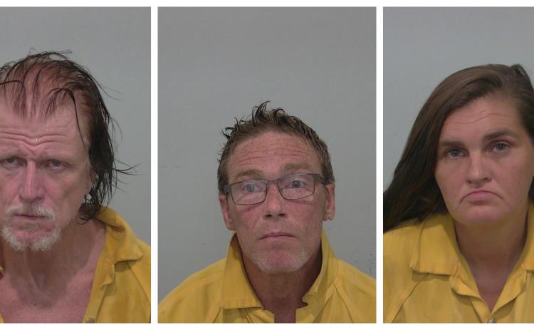 Driggers (from left), Neiswonger and Branch-Robertson