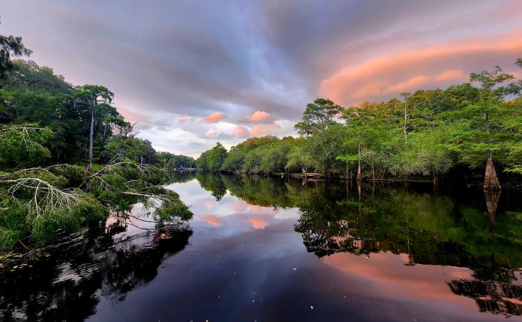 This photo of the Santa Fe River was included on the Suwannee River Water Management District’s 2025 calendar. The photo contest for the 2026 calendar is up and running and submissions are due by Sept. 20. (COURTESY HEIDI SHUBERT)
