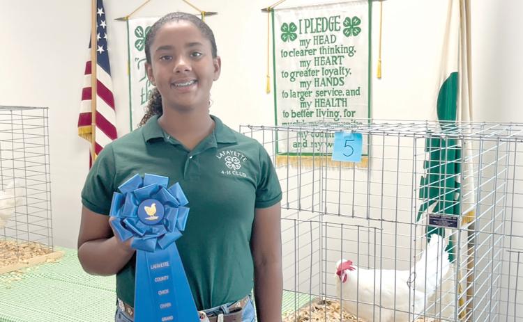 Jada Hencrick shows off her Grand Champion White Leghorn Hen from the Lafayette County 4-H annual Chick-Chain Contest. (COURTESY LAFAYETTE COUNTY 4-H)
