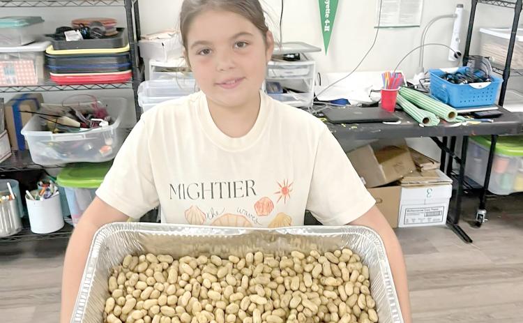 Lafayette County 4-H member Emilee Elizabeth Jackson holds a pan of fresh peanuts just picked. (COURTESY LAFAYETTE COUNTY 4-H)