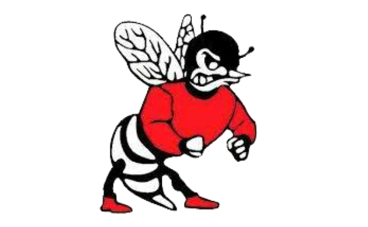 Lafayette Hornets