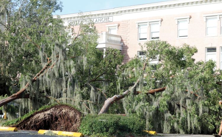 Trees were knocked down in the Lake City Hall parking lot by Hurricane Helene, which had winds up to 112 miles per hour in Columbia County, last September. (FILE)