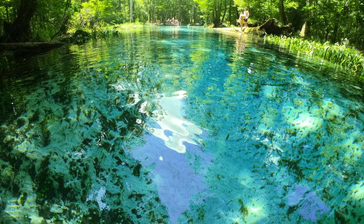 In an effort to protect the lower Ichetucknee River and Ichetucknee Springs, Linda Weseman is seeking a no wake zone on the lower Ichetucknee as part of a petition for a springs protection zone from the Florida Fish and Wildlife Conservation Commission. The Columbia County Commission agreed to support that effort Thursday. (COURTESY)