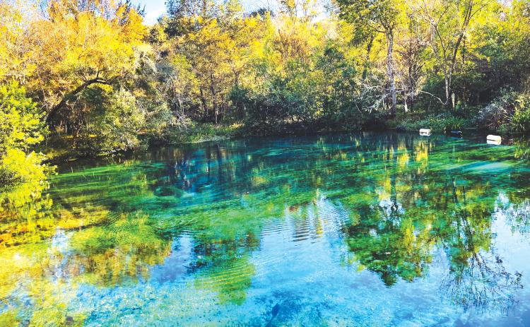 The Ichetucknee River and Springs, along with the Lower Santa Fe, is being targeted for a recharge effort using reclaimed water from northeast Florida. (COURTESY TOURIST DEVELOPMENT COUNCIL)