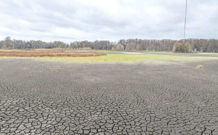 The bottom of Alligator Lake was a bed of cracked mud this month as the drought conditions that have been experienced in North Florida this month and unplugged sink holes in the lake caused it to drain. (RAY CARPENTER/Lake City Reporter)