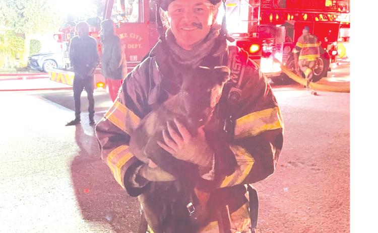 A Lake City firefighter holds Chase after the dog was  rescued from a house fire Monday. (COURTESY)