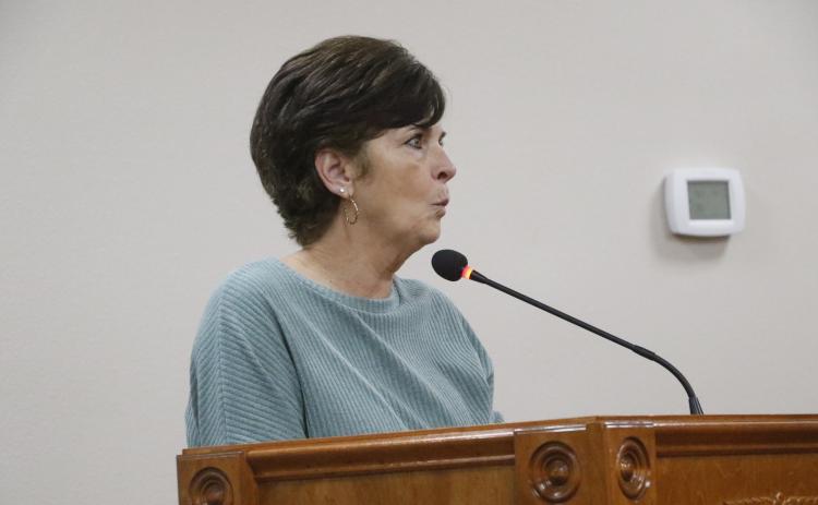 Vicki Waters said her property on 119th Road in Live Oak needs to be turned into a retention pond. (JAMIE WACHTER/Lake City Reporter)