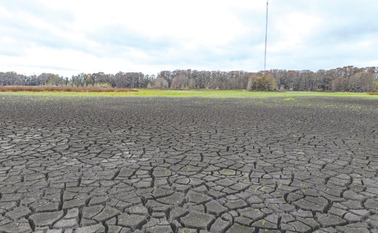The dried lake bed of Alligator Lake sits after below-average rainfall fell across North Florida over the last few months. (RAY CARPENTER/Lake City Reporter)