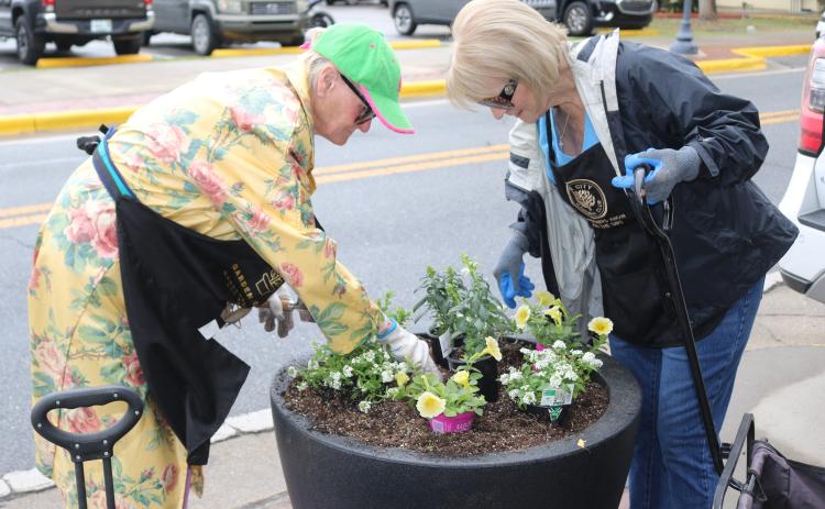 Lake City Garden Club members Pam Kalich (left) and Sandra Foreman replant flowers in a downtown planter on Wednesday afternoon. The recent cold snap killed plants that were planted earlier in the year, forcing the club to install new plants before the Olustee Festival. (TONY BRITT/Lake City Reporter)