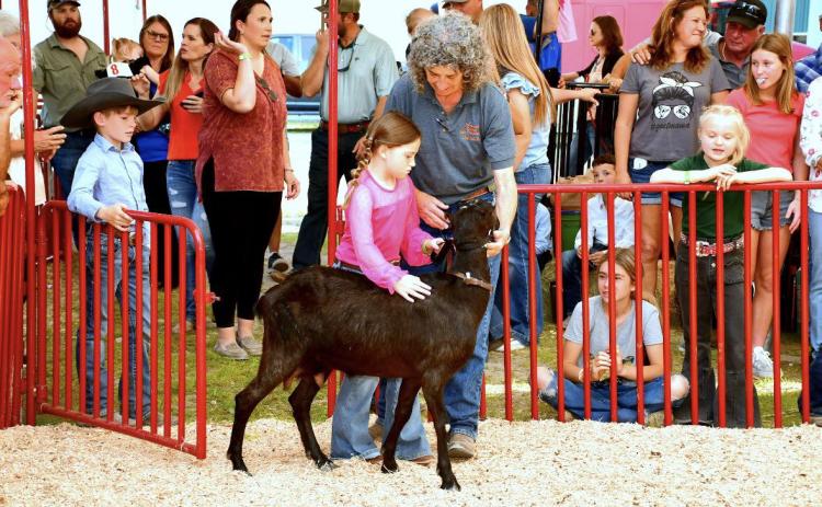Suwannee County Fair Manager Lynn Touchton helps a child with an animal at a previous year’s Suwannee County Fair. The 111th annual fair opens Friday and will run for nine days, celebrating fair, family and freedom. (COURTESY)