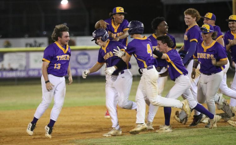 Columbia's baseball players chase after right fielder Case Bennett to celebrate following his walk-off single against St. Augustine on Wednesday. (JORDAN KROEGER/Lake City Reporter)