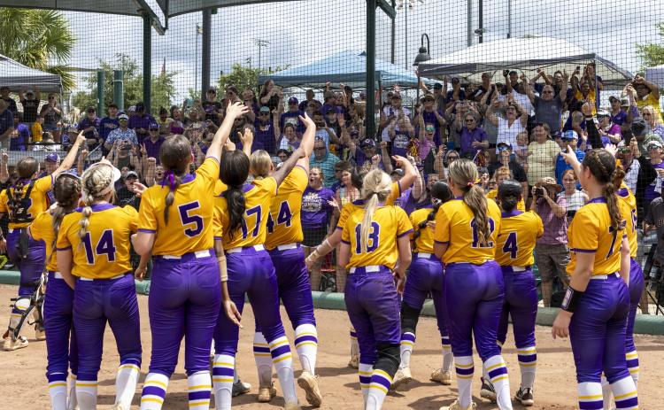 Columbia’s softball team celebrates with their cheering fans after defeating Lake Wales to win the Class 4A state title on May 23. (JACK HOWDESHELL/Lake City Reporter)