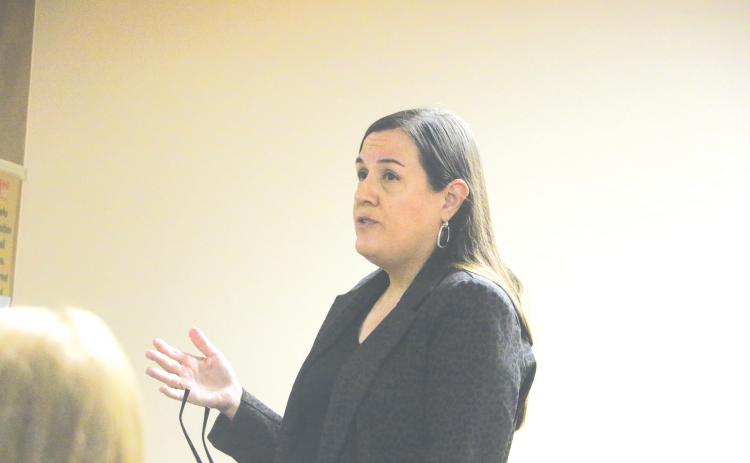 Meridian Healthcare President/CEO Lauren Cohn, speaking at a Lake Shore Hospital Authority meeting last year, said the conveyance of the main Lake Shore hospital building to Meridian, which was completed Tuesday, will allow more access to mental healthcare for the community. (FILE)