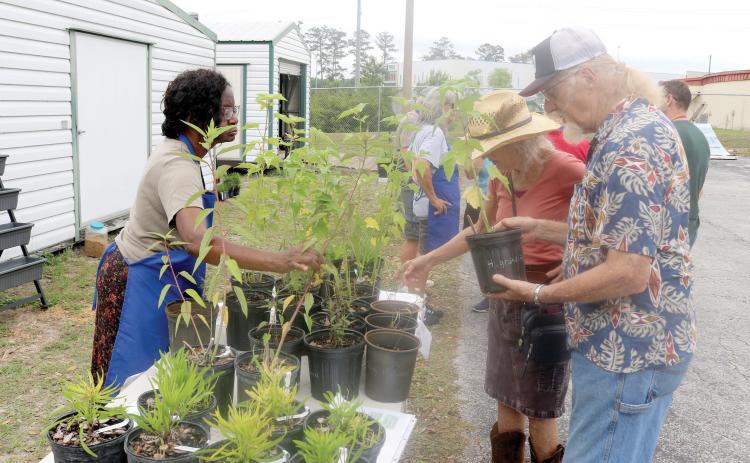 Linda Cray (left), a master gardener volunteer, helps a pair of customers during the UF/IFAS native plant sale on Saturday. (TONY BRITT/Lake City Reporter)