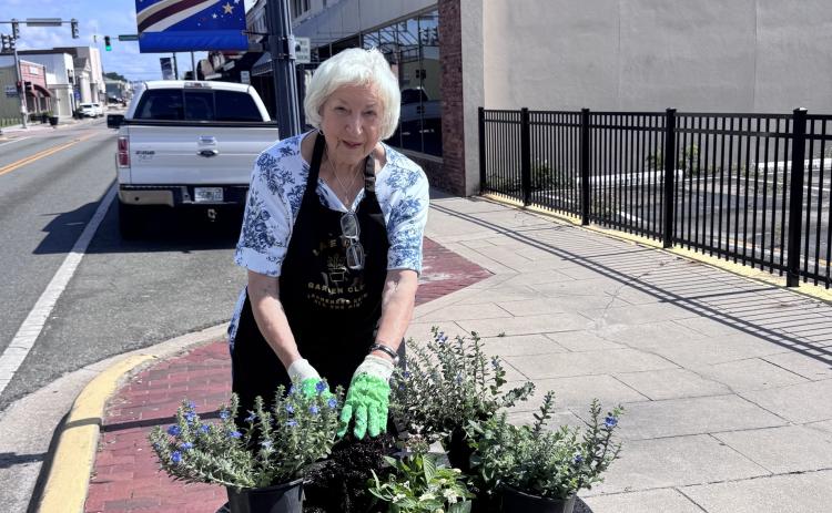 Jan Wheeler adds flowers to a planter along Marion Avenue for the Lake City Garden Club. Club members planted the new flowers, which will be red, white and blue, ahead of the country’s 250th anniversary celebration. (COURTESY)
