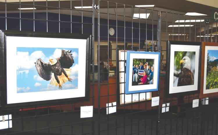 A collection of 34 photographs from 14 different photographers in the Branford Camera Club will remain on display at the Suwannee Regional Library through July 31. (COURTESY)