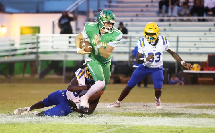 Suwannee quarterback Haigen Johnson tries to escape pressure from the Palatka defense last Friday. (PAUL BUCHANAN/Lake City Reporter)