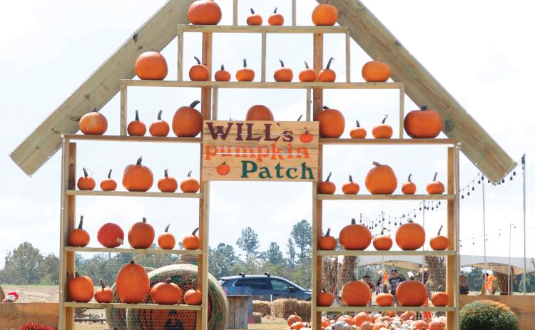 The entrance to Will’s Pumpkin Patch across 72nd Trace from the Publix in Live Oak. (JAMIE WACHTER/Lake City Reporter)