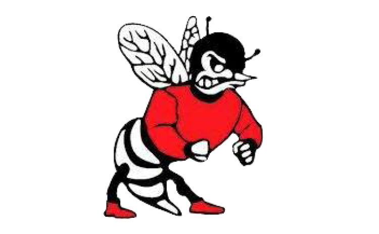 Lafayette Hornets