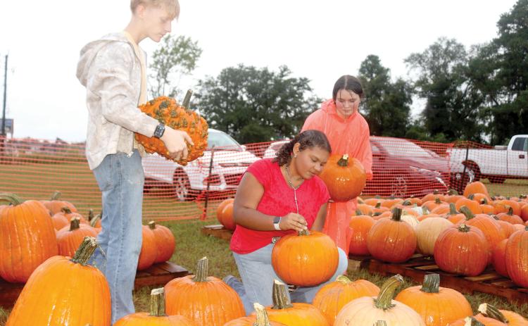 Grady Church (from left), 15, Macy Phillips, 16, and Alexa Aspenwall, 14, work on stacking pumpkins on a pallet for the local FFA Pumpkin Patch. (TONY BRITT/Lake City Reporter)
