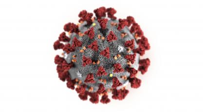 This illustration provided by the Centers for Disease Control and Prevention in January shows the novel coronavirus. (TRIBUNE NEWS SERVICE)