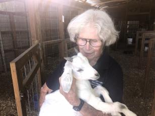 Martha Aitken, who owns a goat farm near Fort White with her husband, holds up a weeks-old kid. Americans haven’t generally been big on goat meat in the past, but with the beef, pork and chicken industries facing a shortage, that may change. (CARL MCKINNEY/Lake City Reporter)