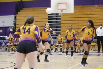 Taiya Driggers (8) sets up a shot for a teammate during Columbia’s Purple & Gold scrimmage Friday night. (BRENT KUYKENDALL/Lake City Reporter)