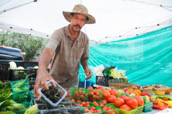 A farmer unloads produce at a farmers market. UF/IFAS offers an entrepreneurship program that helps people interested in becoming farmers. (TYLER JONES/UF/IFAS)