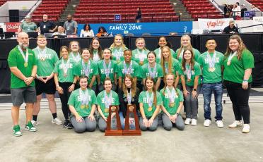 Suwannee's girls weightlifting team swept Class 1A state titles. (FILE)