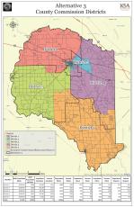 A third alternative map shows the proposed boundaries for the five districts in Suwannee County. (COURTESY)