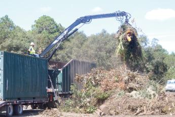 Debris from Hurricane Idalia is dumped at the Columbia County public works yard earlier this month. Residents may continue to place organic storm debris in the county right-of-way for removal until Oct. 1. (FILE)