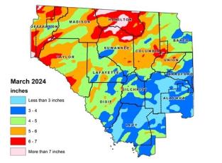 North Florida received more rain than normal in March, according to the Suwannee River Water Management District’s Hydrologic Conditions Report. (COURTESY)