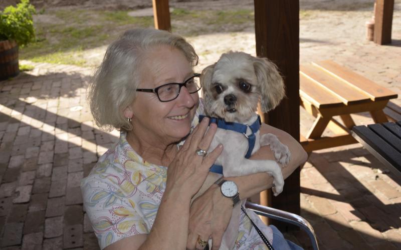 Beverley Langer and Daisy, a shih tzu, relax for a moment while other dogs run wild during a canine social event at Halpatter Brewing Company last February. (FILE)