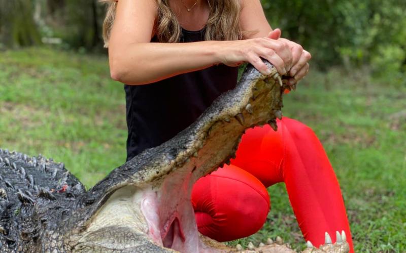 Amy Smith said it took five hours of fighting ‘Big John’ to pull the massive alligator from the pond. (COURTESY STEPHEN AND AMY SMITH)