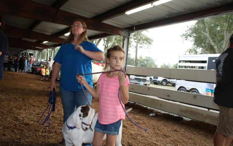 Dallas Douglass, 8, a Columbia City Elementary School student, stands in line with her goat while she waits to have the animal weighed. Douglass is in the 4H program. (TONY BRITT/Lake City Reporter)