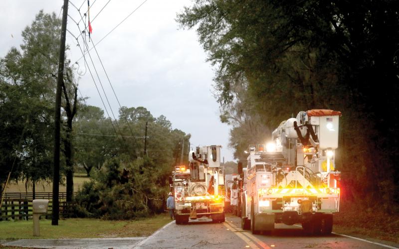 Workers from Florida Power and Light approach downed trees that fell on a power line on Brown Road Monday afternoon. (TONY BRITT/Lake City Reporter)