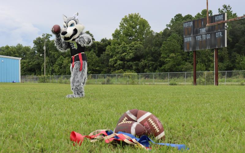 Florida Gateway College announced Tuesday that it is starting a flag football program beginning in the 2022-23 academic year. (COURTESY OF FGC)