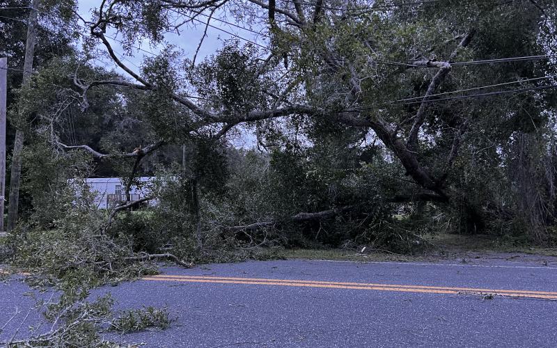 A tree hangs over power lines on County Road 240 just west of the State Road 47 intersection Thursday morning, causing power outages for hundreds in the area. (JAMIE WACHTER/Lake City Reporter)