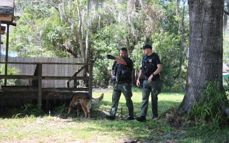 Members of the Columbia County Sheriff’s Office K-9 team search a residence near SE McCray Avenue and SE Paxton Place on Monday afternoon as they were looking for a shooting suspect. (TONY BRITT/Lake City Reporter)