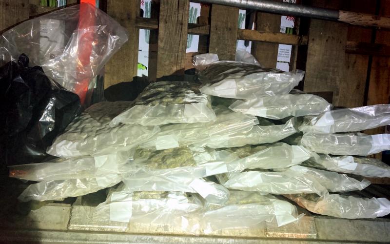 More than 43 pounds of marijuana were confiscated from a Michigan produce truck at an ag inspection station in Hamilton County on Saturday night. (COURTESY)