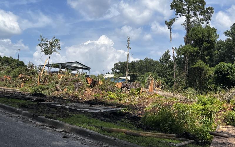 Trees were cleared behind the Jared Allison Aquatic Complex this week to make way for the installation of solar panels to heat the pool. (JAMIE WACHTER/Lake City Reporter)