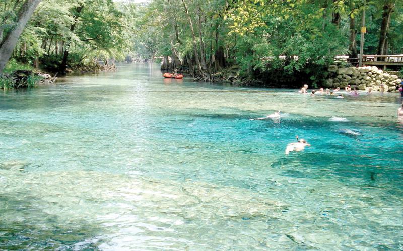 An administrative law judge ruled Tuesday that Seven Springs Water Co. should be allowed to pull water from near Ginnie Springs in Gilchrist County. (FILE)