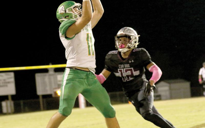 Suwannee tight end Logan Brooks makes a catch against Madison County on Friday. (JAMIE WACHTER/Lake City Reporter)