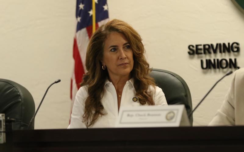 Sen. Jennifer Bradley, speaking at the Columbia County legislative delegation hearing in October, has requested more than $22 million for projects in the county. (FILE)
