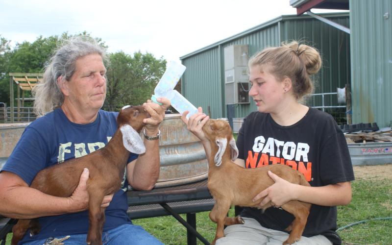 Patricia Starnes (left), the Columbia High School FFA advisor, holds and feeds Tres, as Amilliya Schneider, 17, holds and feeds Dos. Starnes and Schneider were feeding the three-week-old kids, while preparing for the inaugural Kids Feeding Kids Ag. Expo where a petting zoo will be featured. (TONY BRITT/Lake City Reporter)